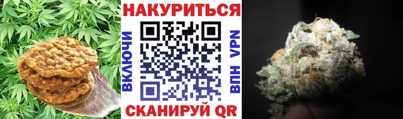 Купить закладки  Ладушкин  Canna-Cookies конопля 